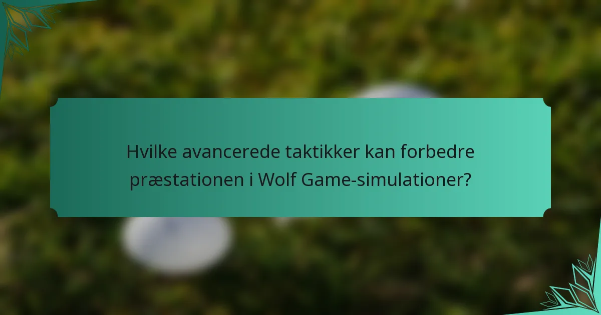 Hvilke avancerede taktikker kan forbedre præstationen i Wolf Game-simulationer?